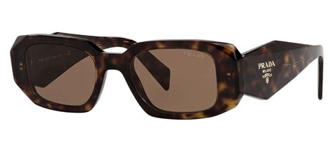 prada brown sunglasses men|prada pr17ws sunglasses tortoise brown.